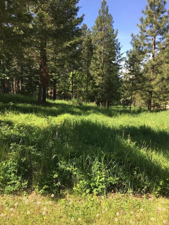 Nhn Westview Drive, Bigfork, MT 59911