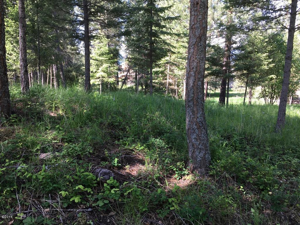 Nhn Westview Drive, Bigfork, MT 59911