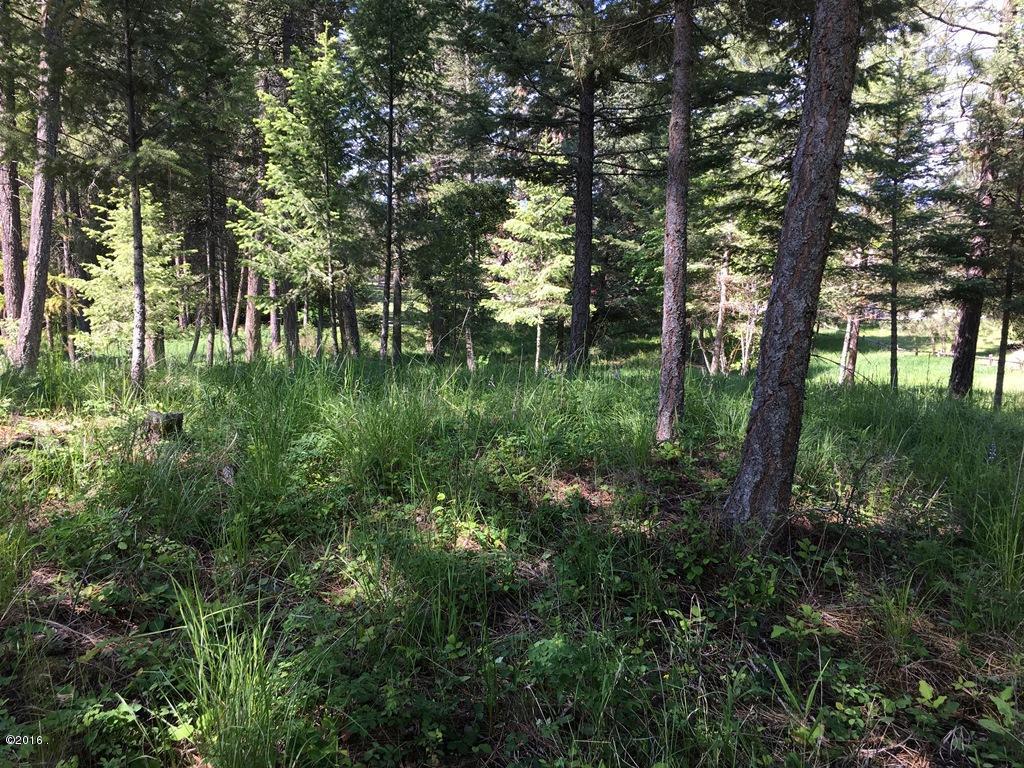 Nhn Westview Drive, Bigfork, MT 59911