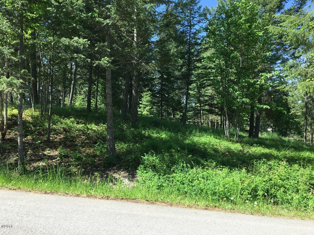 Nhn Westview Drive, Bigfork, MT 59911