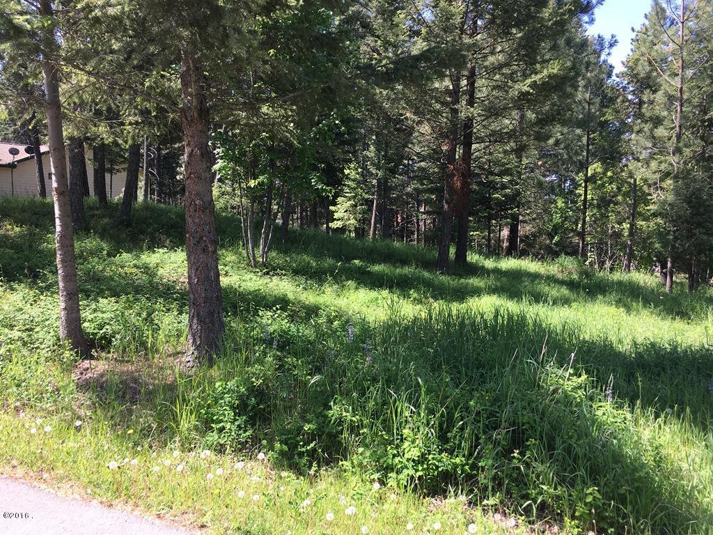 Nhn Westview Drive, Bigfork, MT 59911