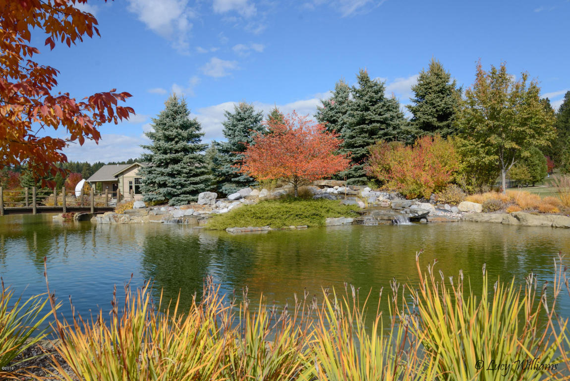 338 Wheatgrass Court, Bigfork, MT 59911