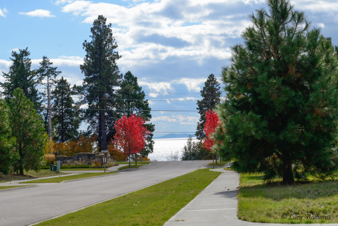 338 Wheatgrass Court, Bigfork, MT 59911
