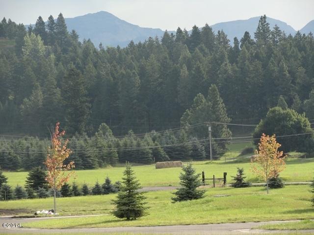 727 Mill Camp Road, Bigfork, MT 59911
