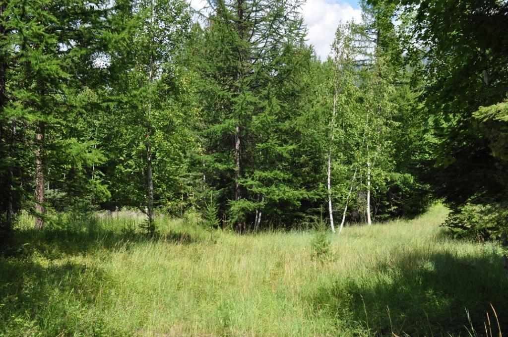 NHN Ridge Loop, Bigfork, Other, MT 59911