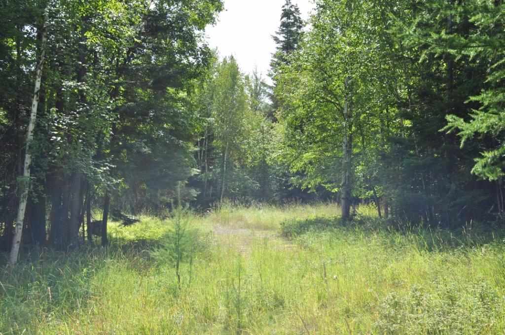 NHN Ridge Loop, Bigfork, Other, MT 59911