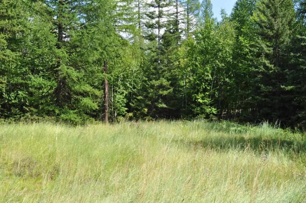 NHN Ridge Loop, Bigfork, Other, MT 59911