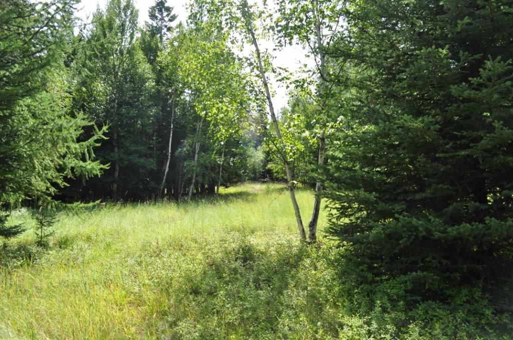 NHN Ridge Loop, Bigfork, Other, MT 59911