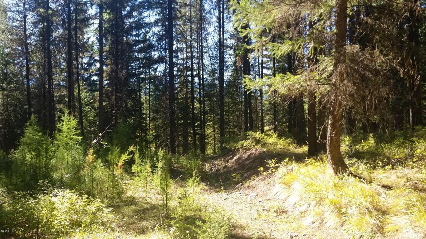 Nhn Simmons Meadows, Swan Lake, MT 59911