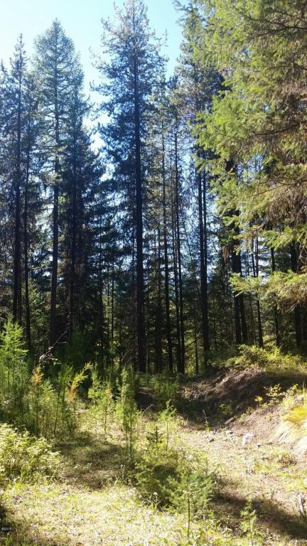 Nhn Simmons Meadows, Swan Lake, MT 59911