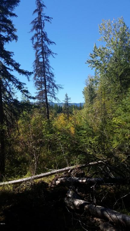 Nhn Simmons Meadows, Swan Lake, MT 59911
