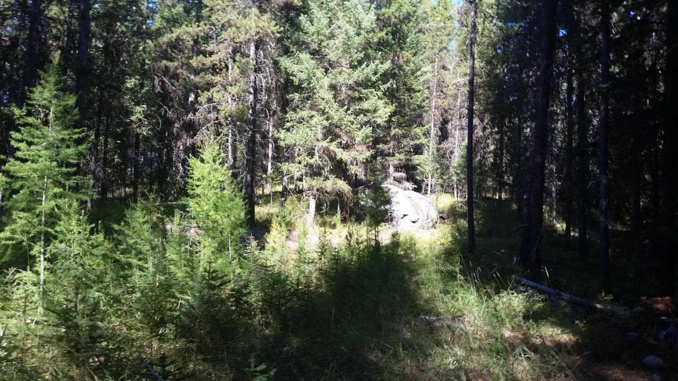 Nhn Simmons Meadows, Swan Lake, MT 59911