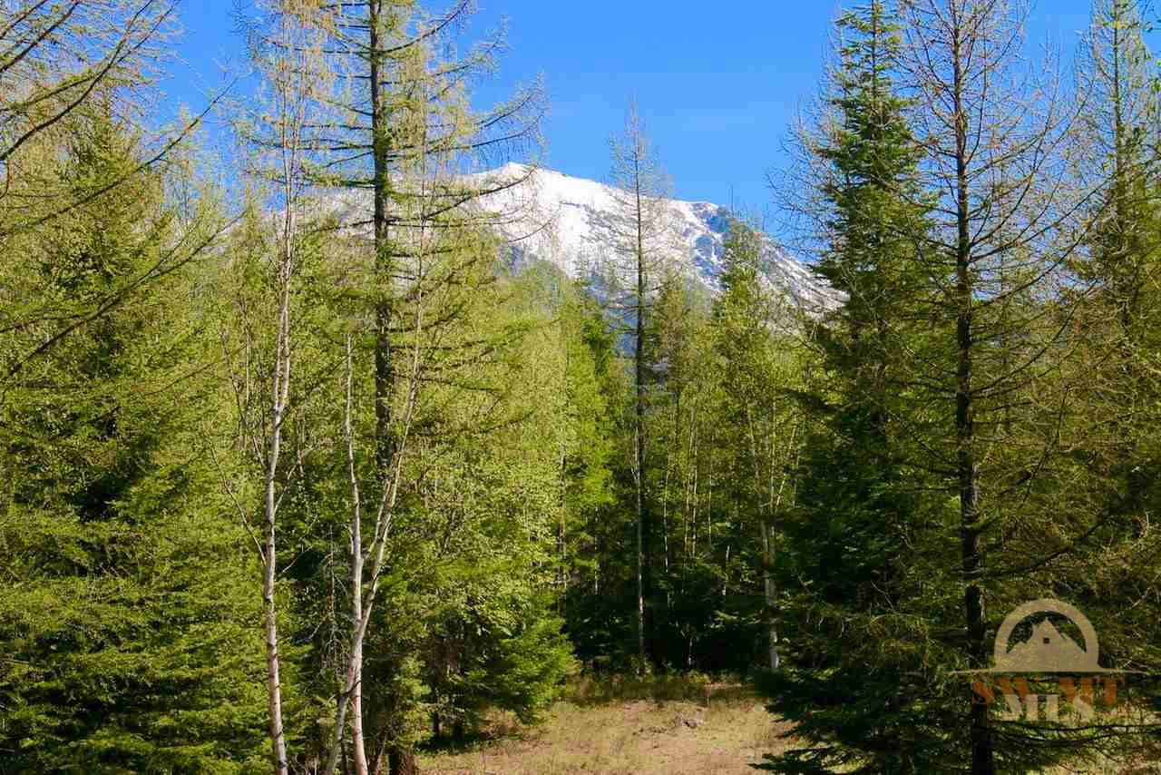 NHN Ridge Loop, Other, MT 59911