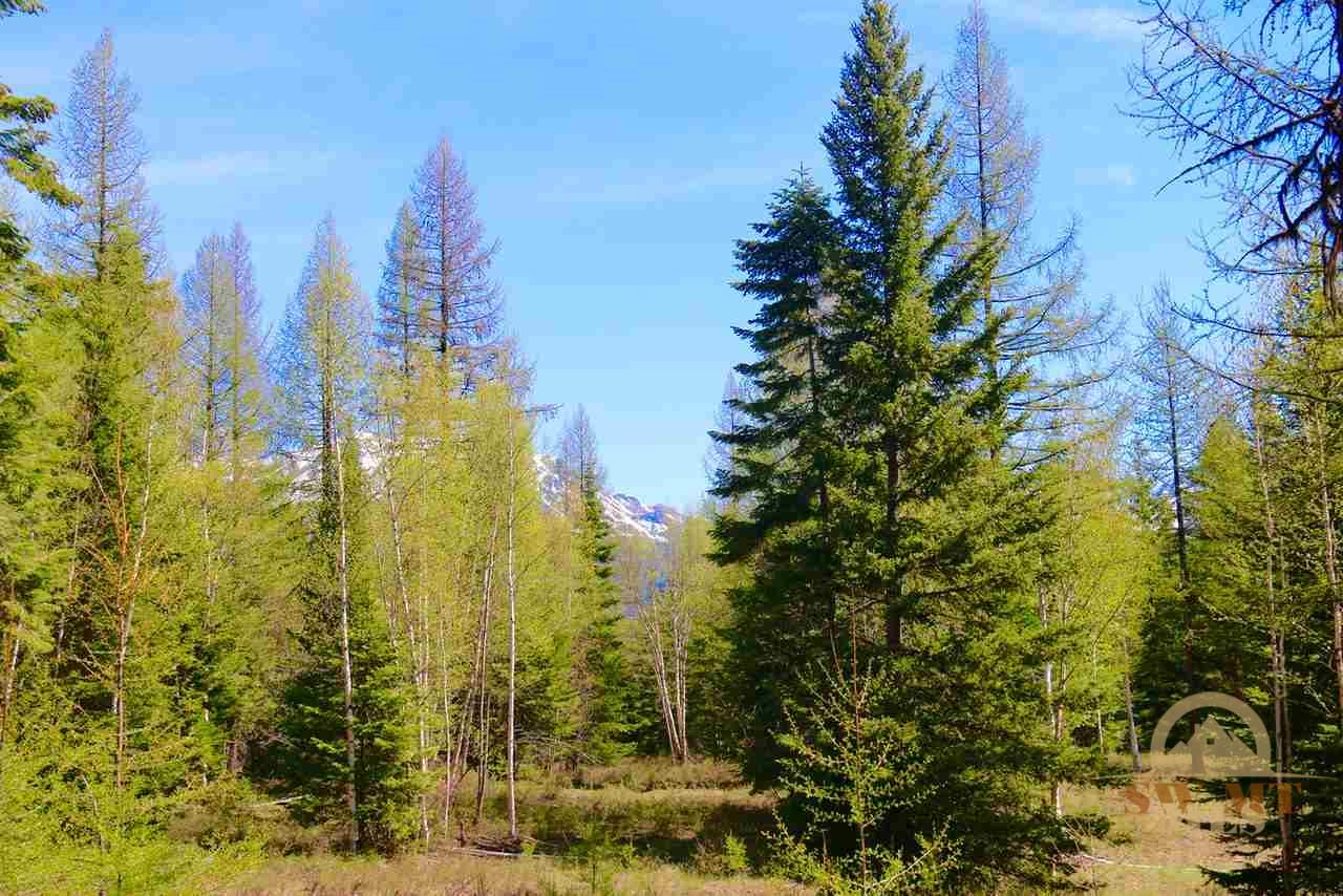 NHN Ridge Loop, Other, MT 59911