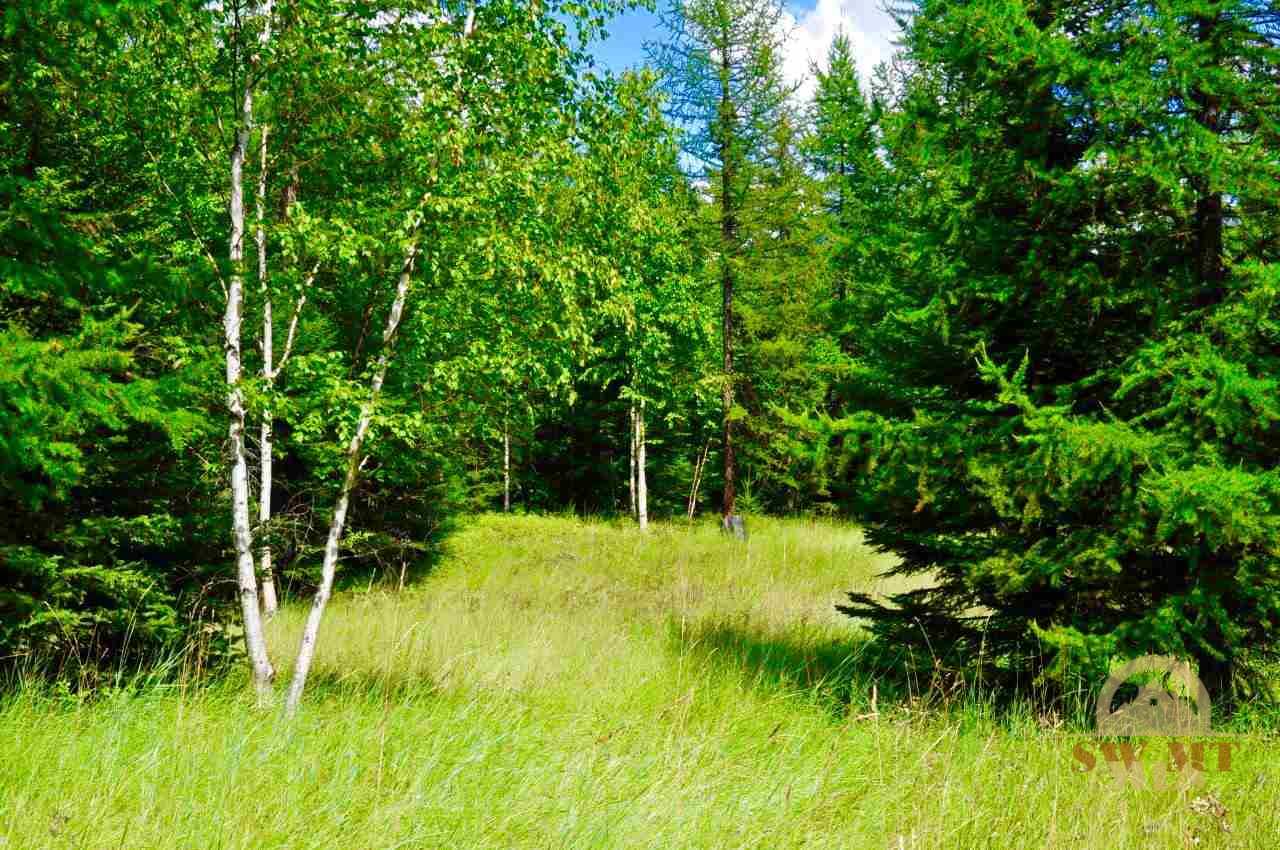 NHN Ridge Loop, Other, MT 59911