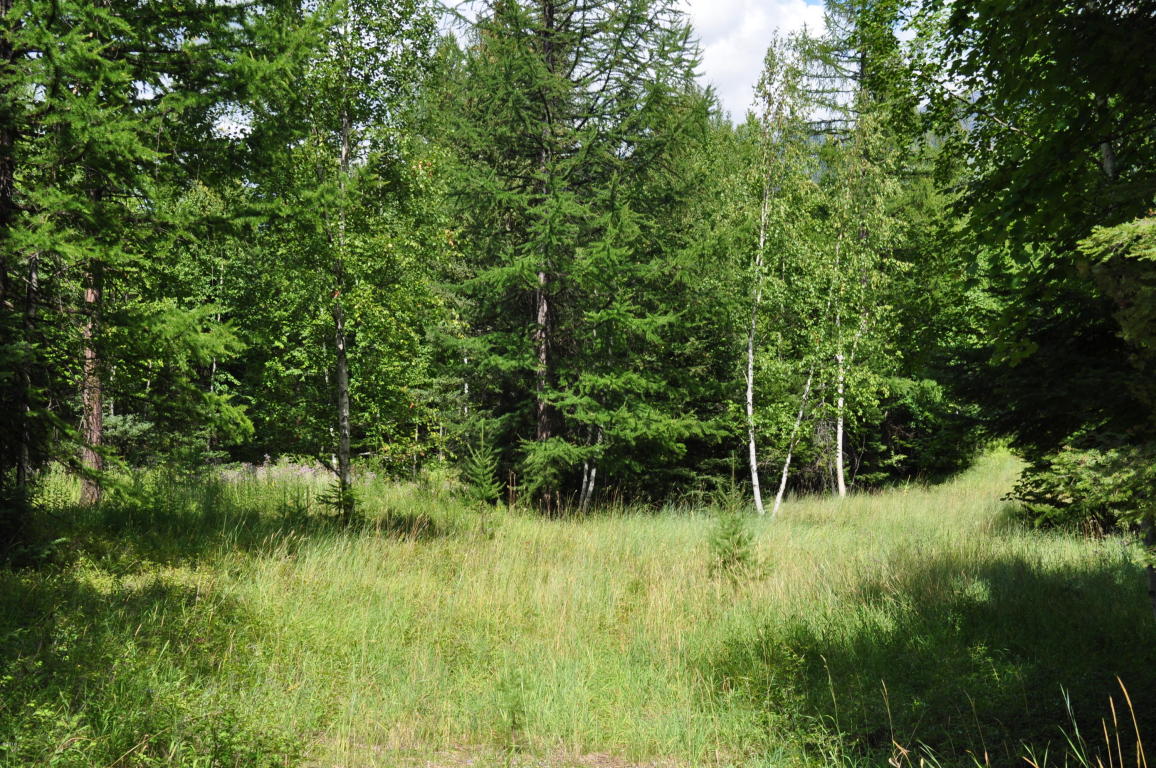 Nhn Ridge Loop Road, Bigfork, MT 59911
