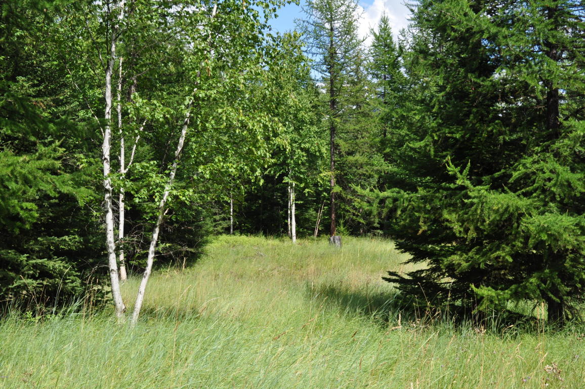Nhn Ridge Loop Road, Bigfork, MT 59911