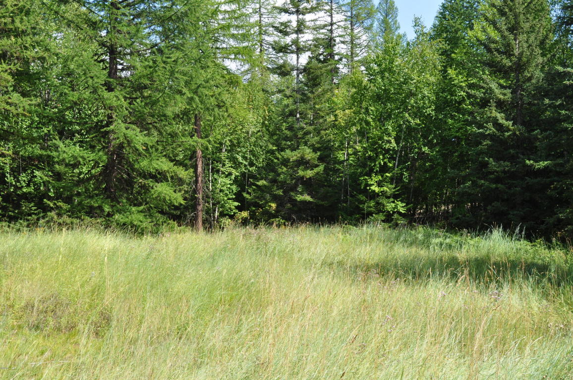 Nhn Ridge Loop Road, Bigfork, MT 59911