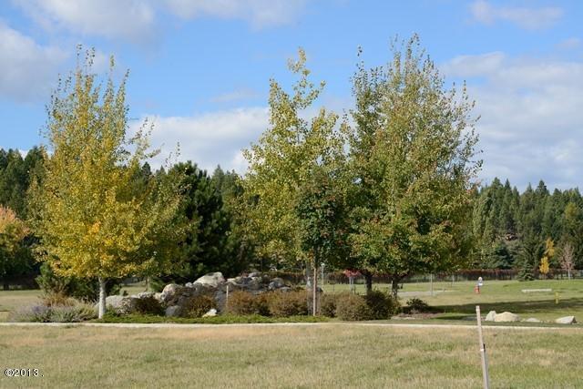 714 Mill Camp Road, Bigfork, MT 59911