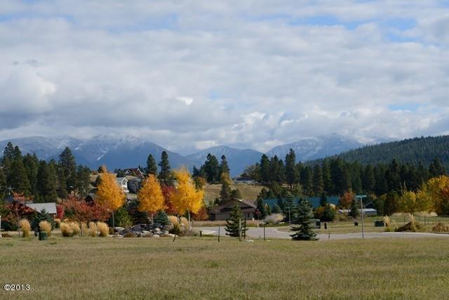 411 Mill Creek Court, Bigfork, MT 59911