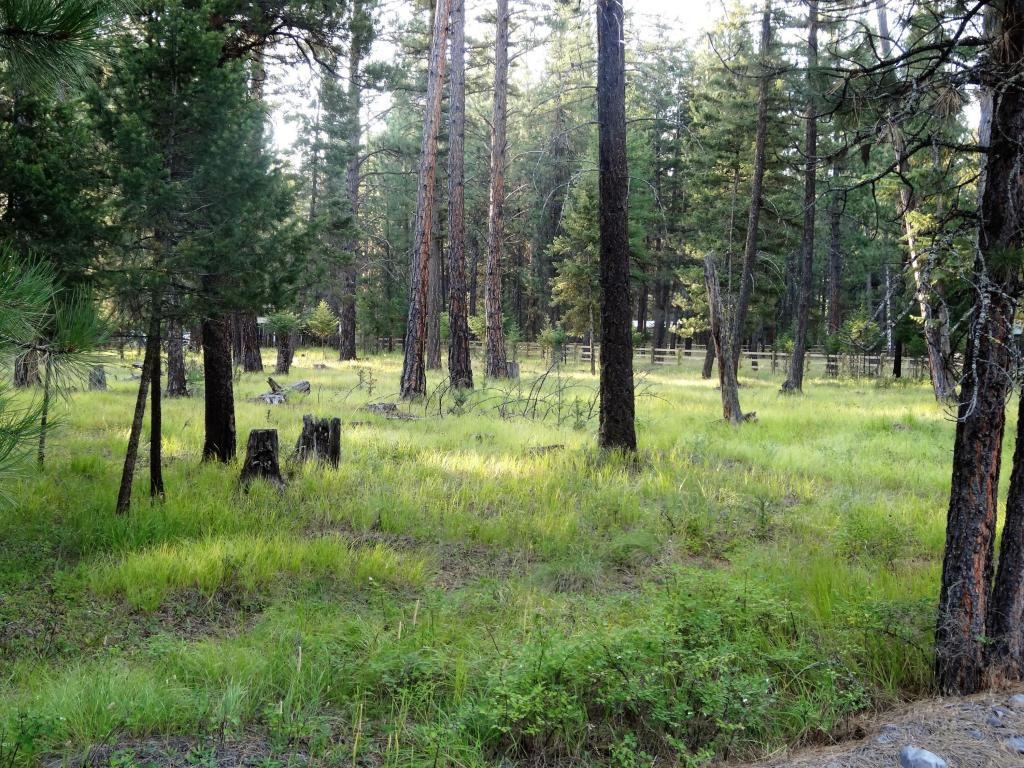 453 Kelley Drive, Bigfork, MT 59911