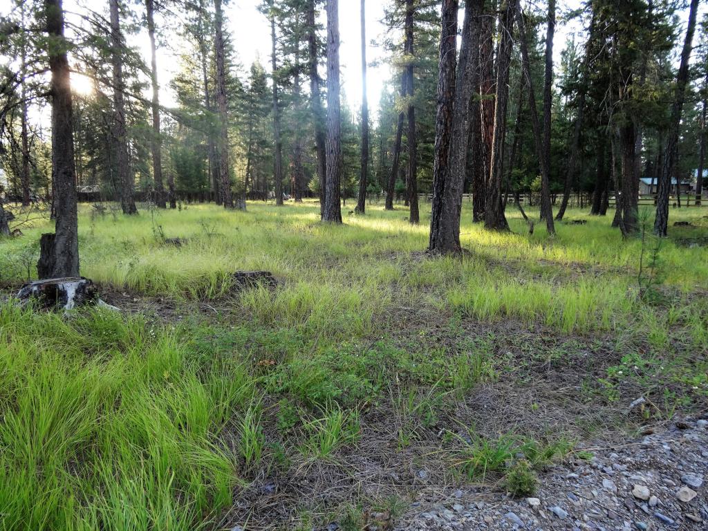 453 Kelley Drive, Bigfork, MT 59911