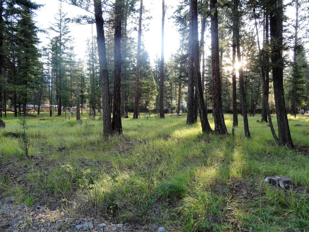 453 Kelley Drive, Bigfork, MT 59911