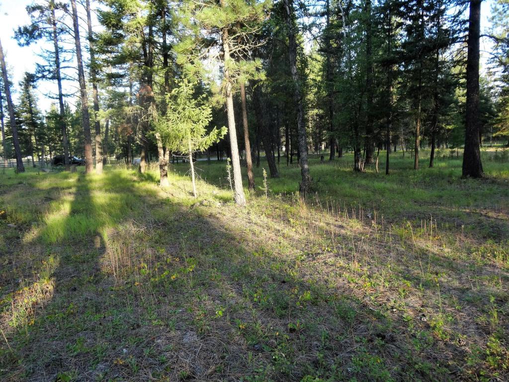 453 Kelley Drive, Bigfork, MT 59911