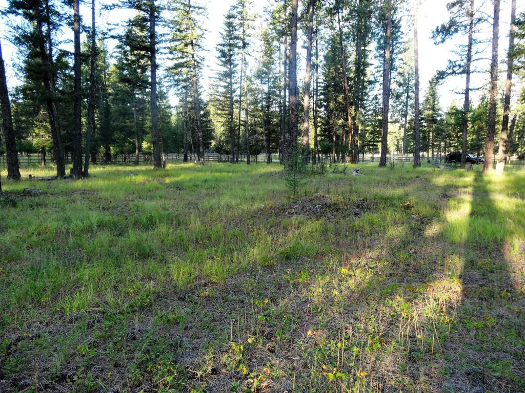 453 Kelley Drive, Bigfork, MT 59911