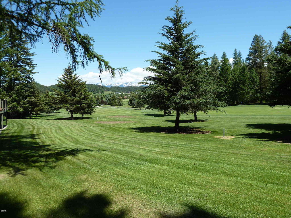 159 Golf Terrace, Bigfork, MT 59911