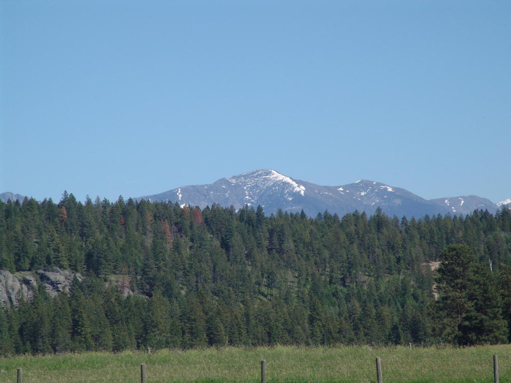 119 Jewel Basin Court, Bigfork, MT 59911