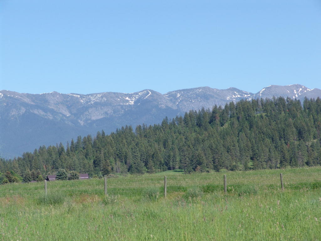 119 Jewel Basin Court, Bigfork, MT 59911
