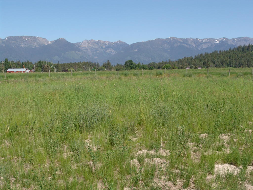 119 Jewel Basin Court, Bigfork, MT 59911