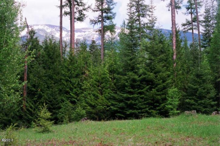 Nhn West Swan Shores, Bigfork, MT 59911