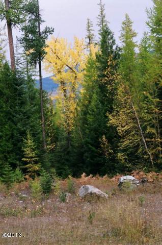 Nhn West Swan Shores, Bigfork, MT 59911