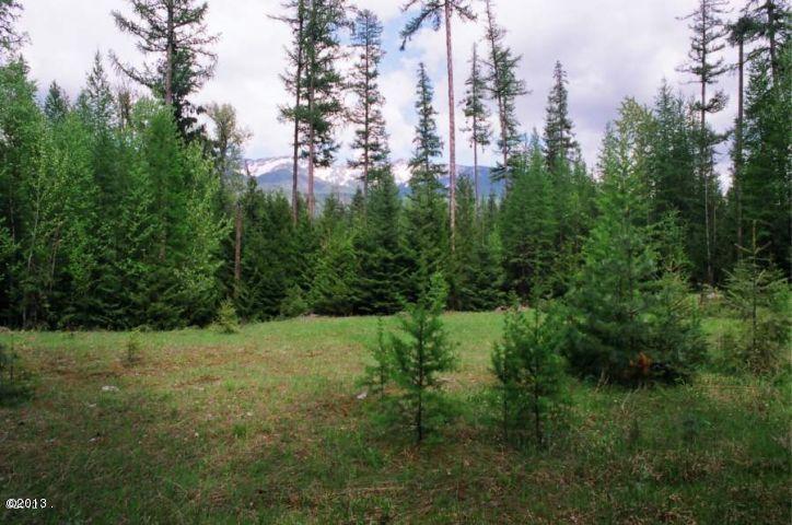 Nhn West Swan Shores, Bigfork, MT 59911