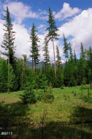 Nhn West Swan Shores, Bigfork, MT 59911