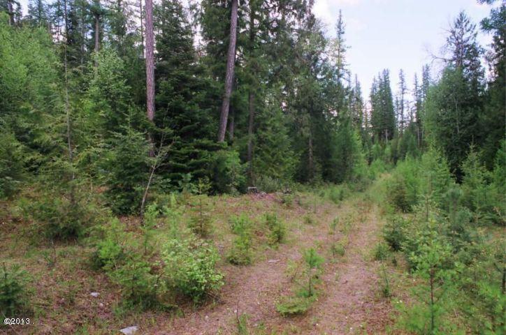 Nhn West Swan Shores, Bigfork, MT 59911