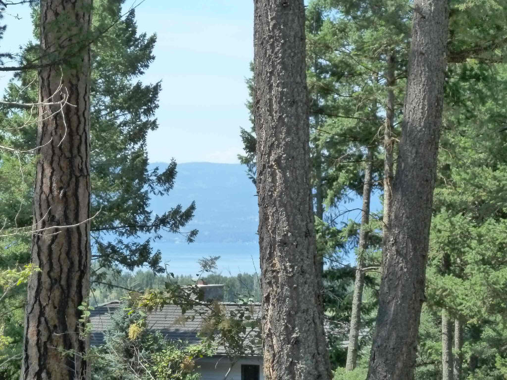 157 Bjork Drive, Bigfork, MT 59911