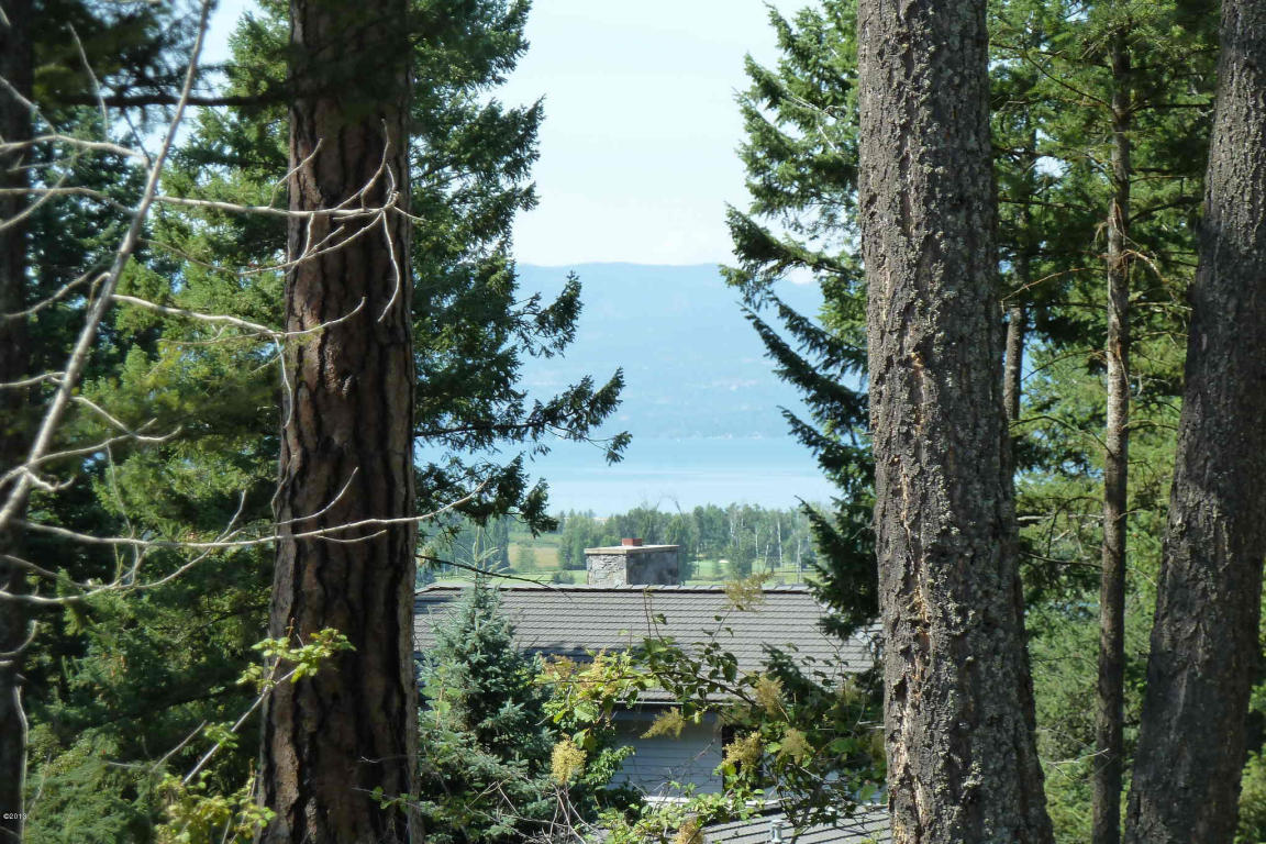 157 Bjork Drive, Bigfork, MT 59911