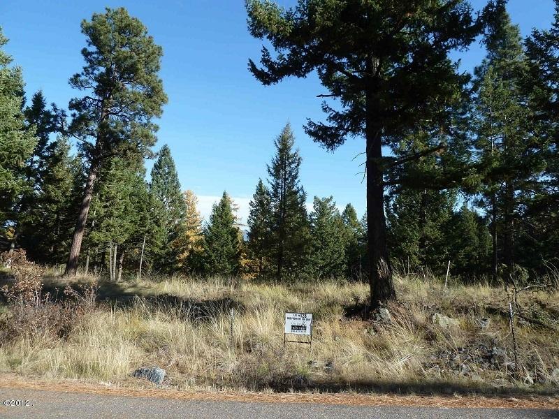 157 Bjork Drive, Bigfork, MT 59911