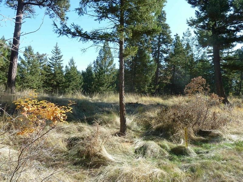 157 Bjork Drive, Bigfork, MT 59911