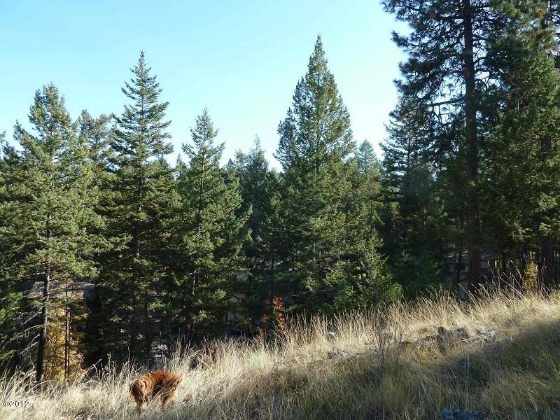 157 Bjork Drive, Bigfork, MT 59911