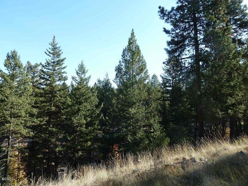 157 Bjork Drive, Bigfork, MT 59911