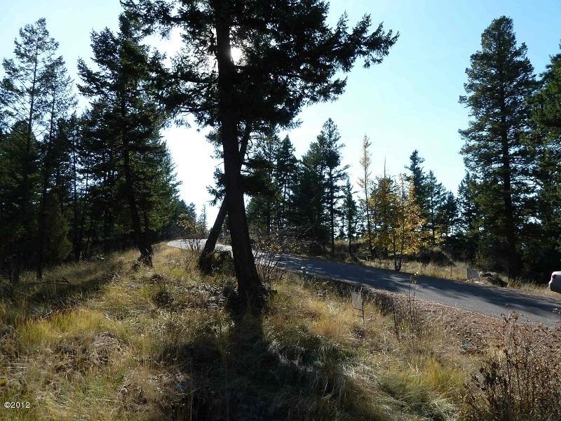 157 Bjork Drive, Bigfork, MT 59911
