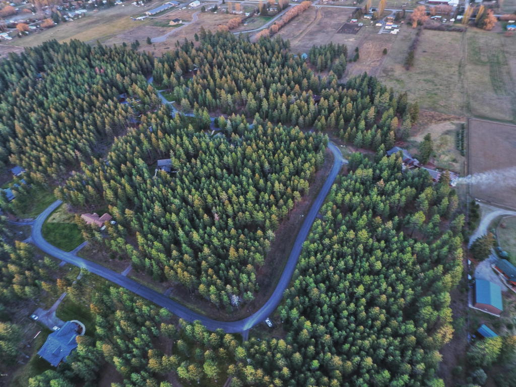 346 Lynnewood Drive, Columbia Falls, MT 59912