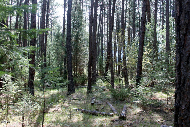 346 Lynnewood Drive, Columbia Falls, MT 59912