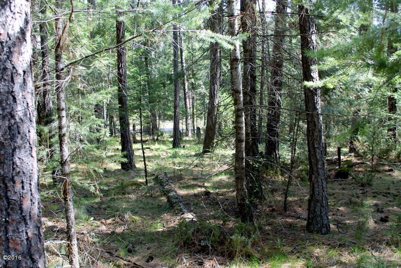 346 Lynnewood Drive, Columbia Falls, MT 59912