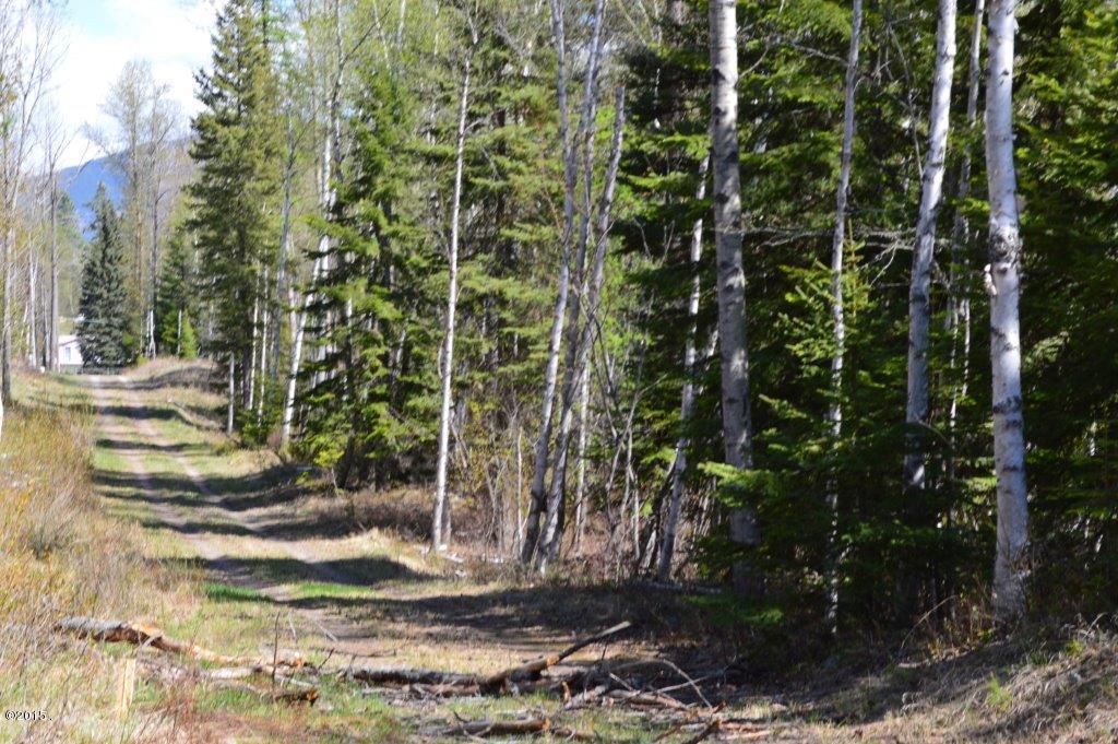 93 Drewry Lane, Columbia Falls, MT 59912