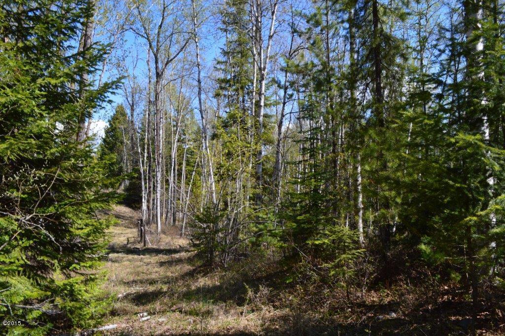 93 Drewry Lane, Columbia Falls, MT 59912
